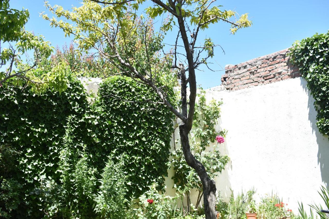 Del Alto-Viviendas Turisticas Zapala Bagian luar foto